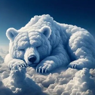 Diamond Painting Bär in den Wolken